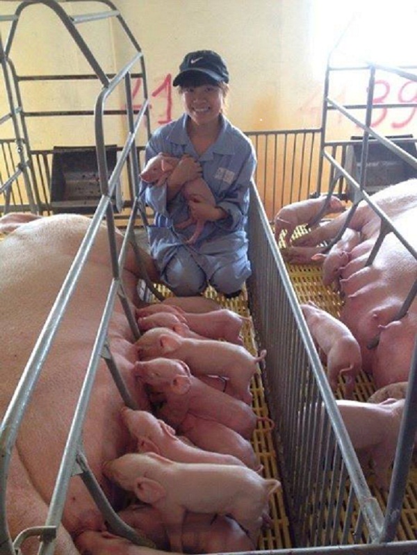 TUYỂN DỤNG CÔNG NHÂN CHĂN NUÔI GÀ, LỢN TẠI TRANG TRẠI