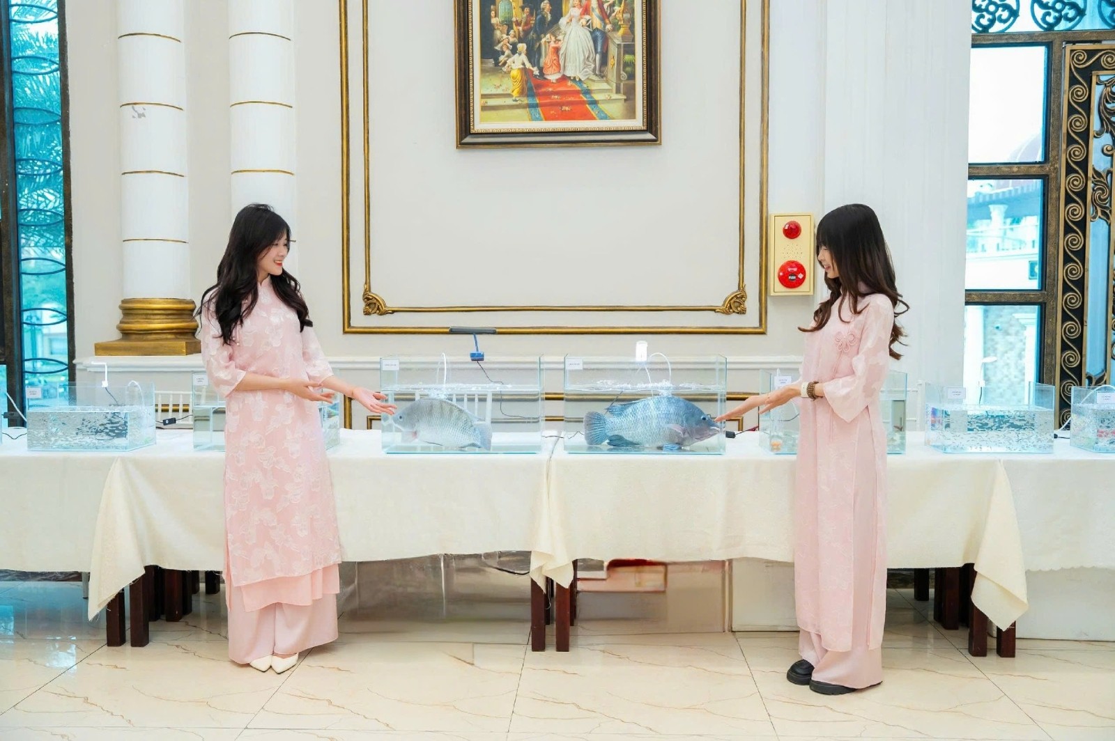 654862434 2479420272547492 7487027026939733103 n