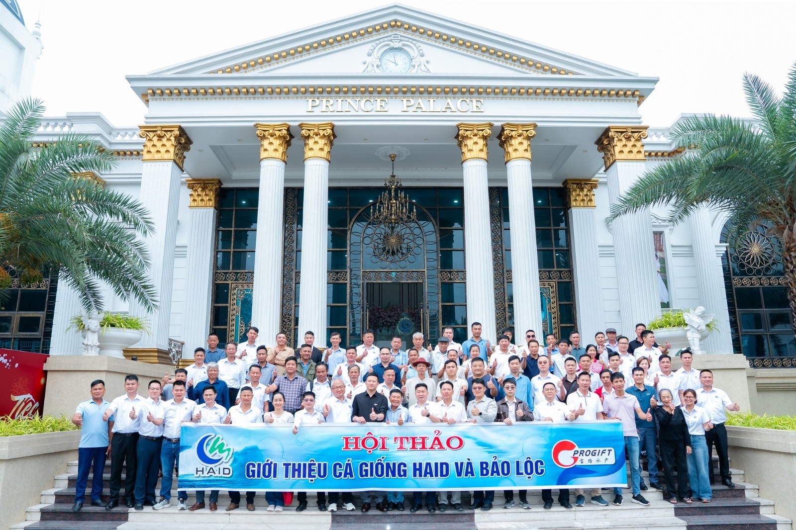 656334405 2479393049216881 7091332688492077519 n