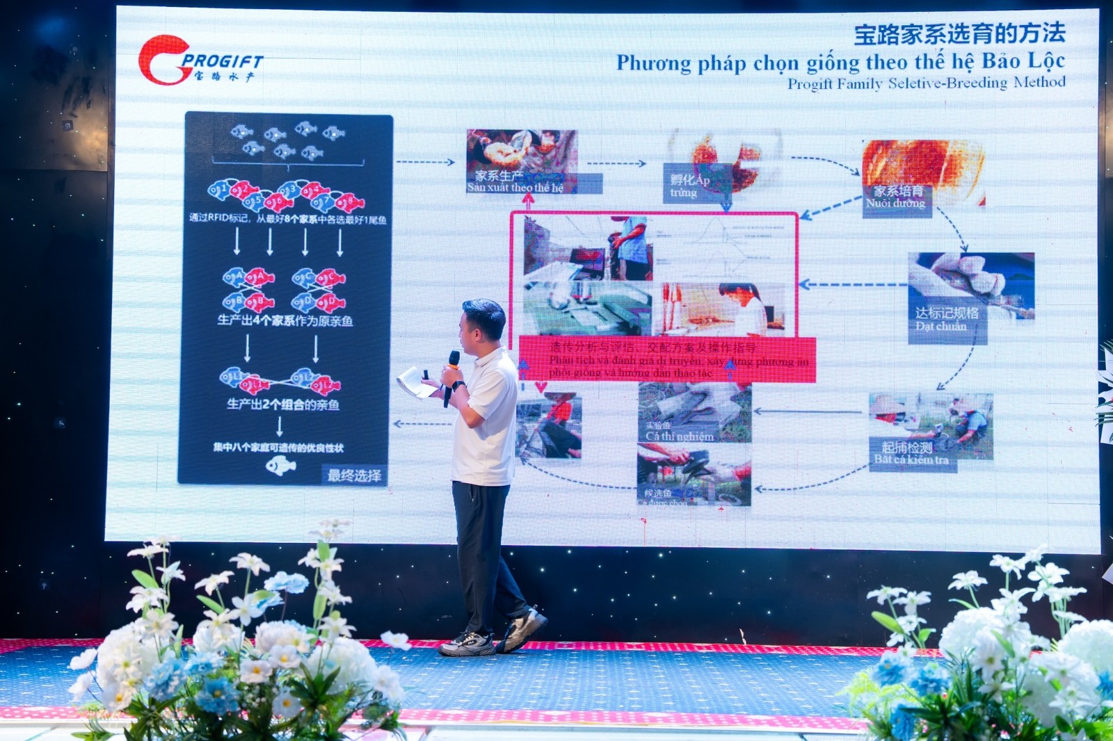 657351917 2479393655883487 7785058400395981379 n